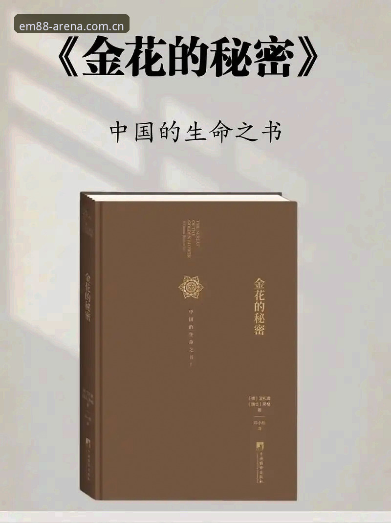 揭秘：中国金花法网签运深度解析与保分压力下的博弈